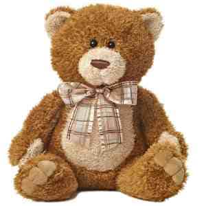 Teddy Bear